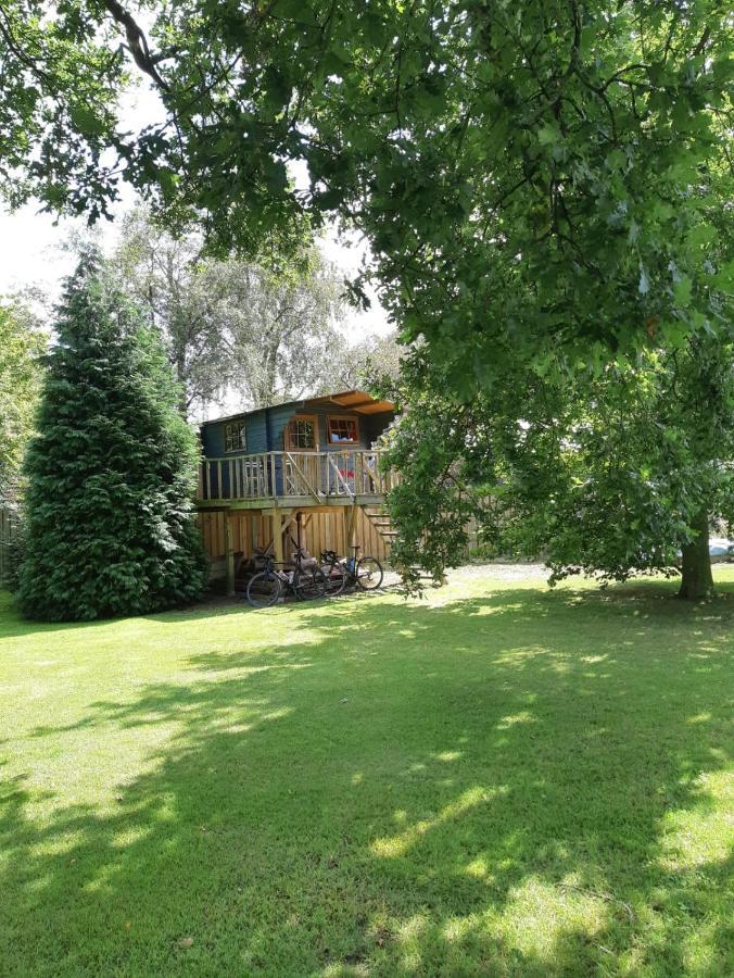 Treehouse op het platteland van Huize Ouwervelden Hotel Plantage Centrum Buitenkant foto